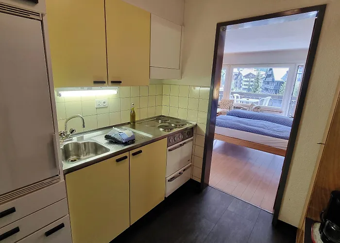 Haus Matten, Findeln Lägenhet